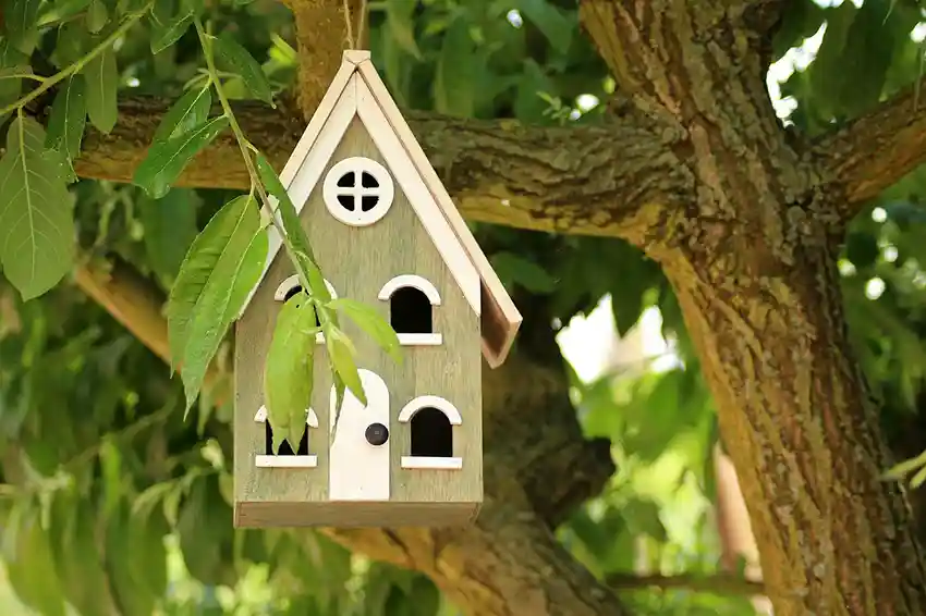 Maison oiseaux suspendue dans un arbre